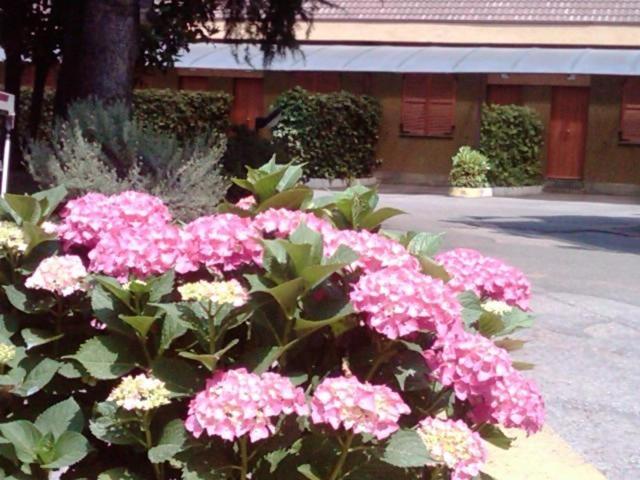 Hotel Motel Ovest Vittuone Dış mekan fotoğraf